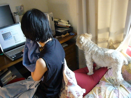 Dolce into YouTube 1.JPG