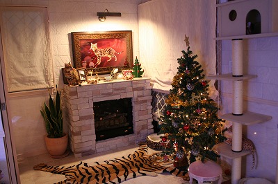クリスマスツリーと暖炉　at Zephyros