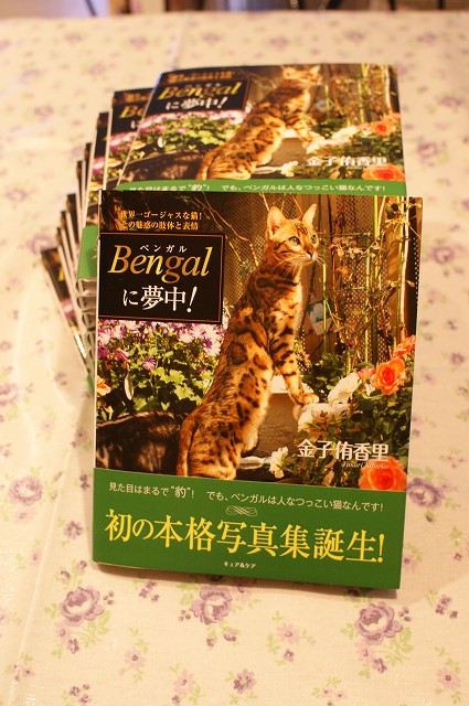 bengal-photobook2