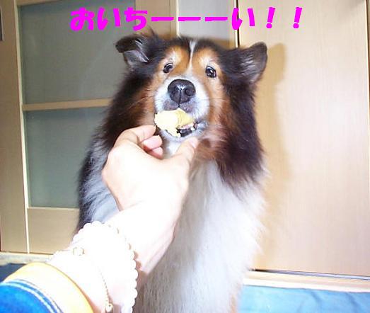 おいちーい！！