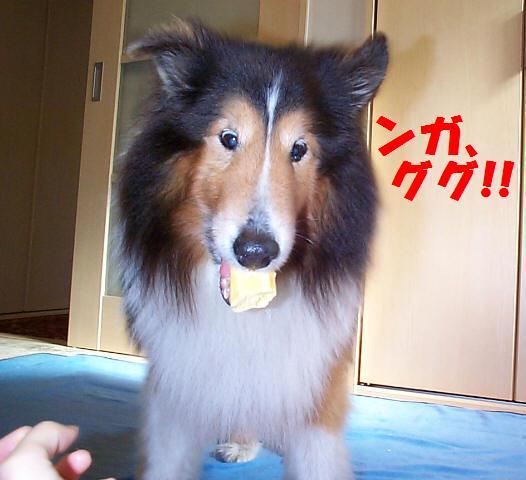 ンガ、ググ！！