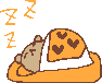 sleeping-kuma.gif