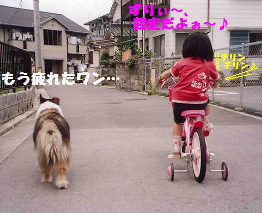 サキちゃんと自転車