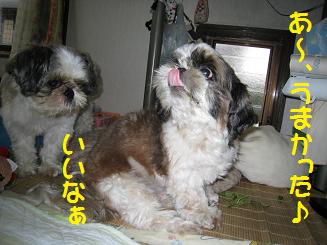 うまかった.jpg