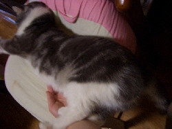 くすぐったい！