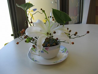 IMG_1203.jpg