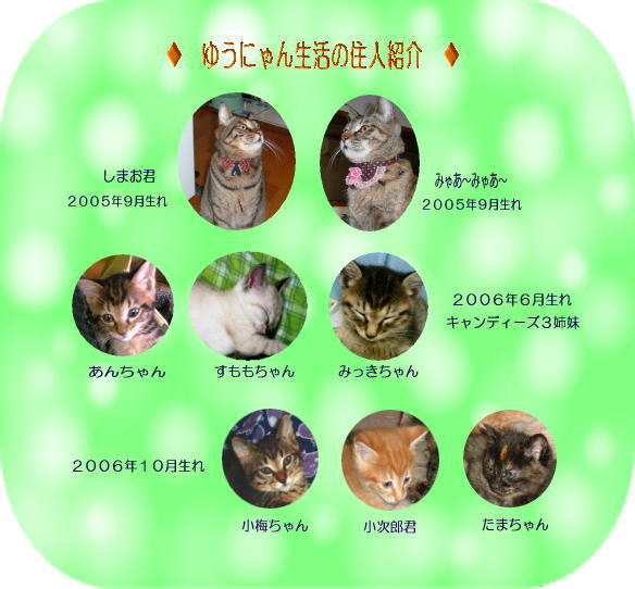 ゆうにゃん一家ご紹介
