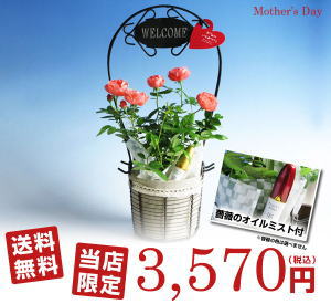 母の日ギフト