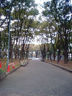 久屋大通公園