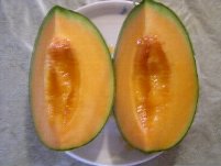 07.8.4美唄メロン2