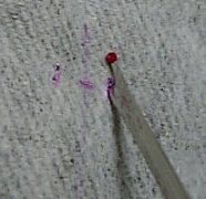 07.12.10花柄ギャザーバッグリッパーで穴あけ