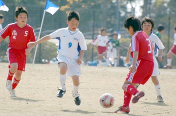 196.jpg