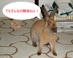おっぱっぴ