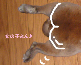 おとめよん♪