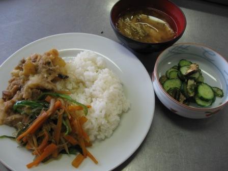 kobuta 011.jpg