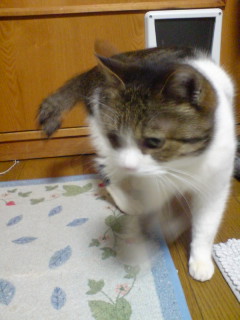 ただいま戻りました