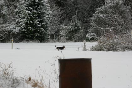 雪の中走る景虎
