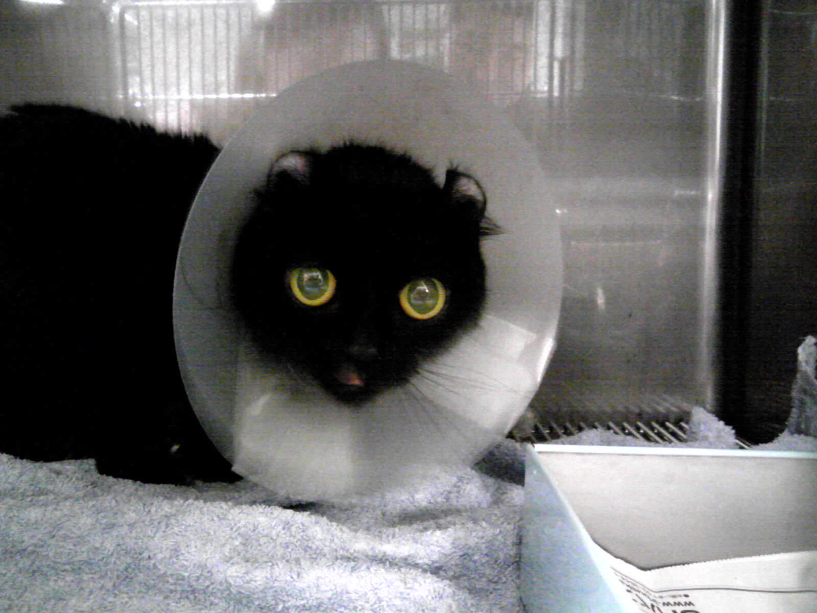 100321_こはる正面