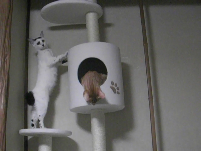 090515_タワーまりん