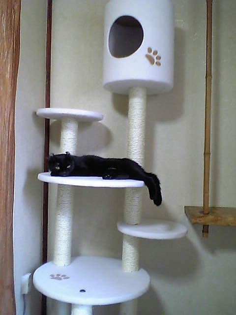 090515_タワーこはる