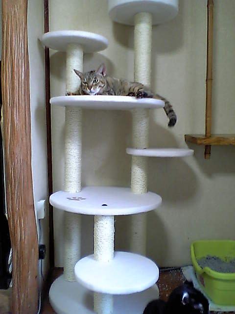 090515_タワーこじ