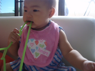 P8210166.JPG