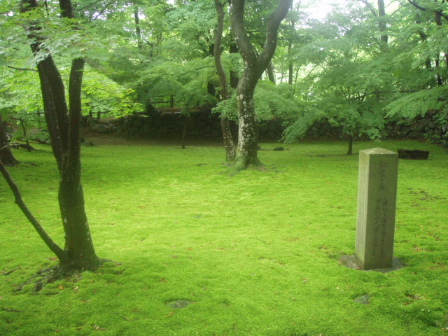 ブログ用 111.jpg