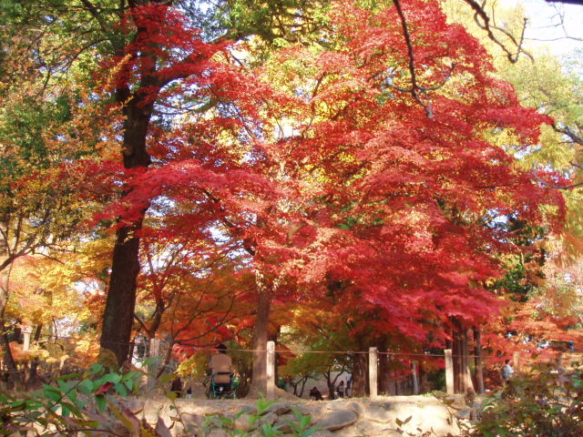 画像 012.jpg