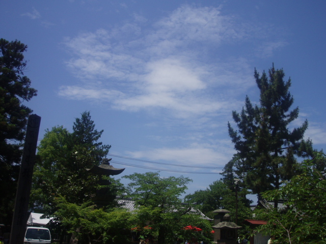 ブログ用 006.jpg