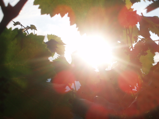 ブログ用 002.jpg