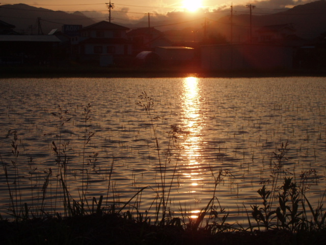 ブログ用 006.jpg