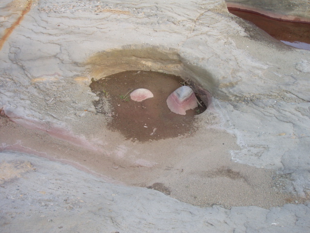 ブログ用 029.jpg