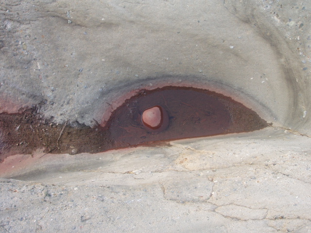 ブログ用 030.jpg