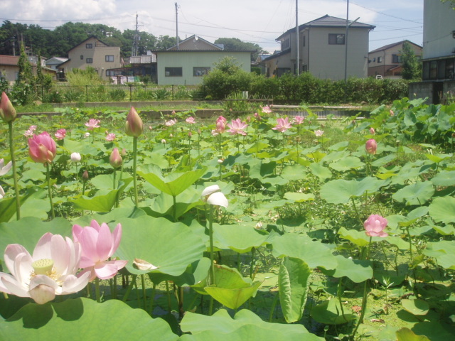 ブログ用 033.jpg