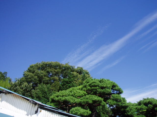 ブログ用 133.jpg