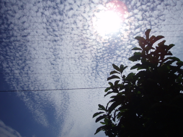 ブログ用 145.jpg