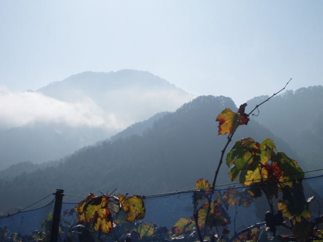 ブログ用 079.jpg