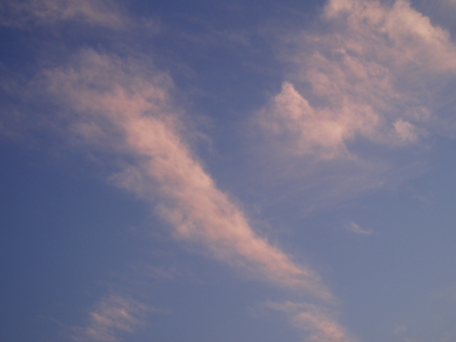 ブログ用 026.jpg