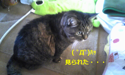 20110103_あさって向いてます.png