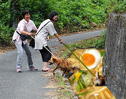 犬溝ﾗｰﾒﾝ.png