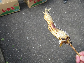 鮎