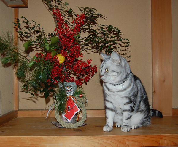 DSC_0112.JPG