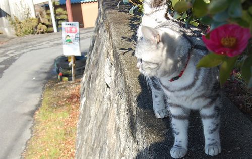 DSC_0179.JPG