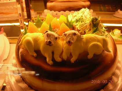 DSCN2048.JPG
