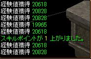 220テンプラ経験値.JPG