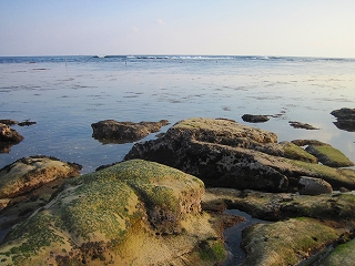 ナイキフリー 013.jpg