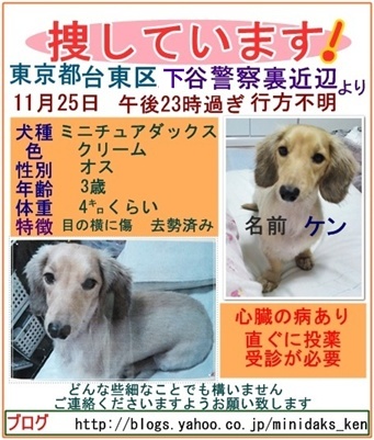 迷子犬のケンちゃん東京都