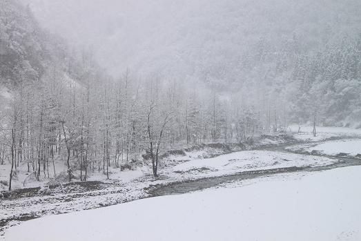 ３月２９日　飛騨の雪景色！！