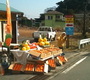 湯河原『梅の宴』花より団子編