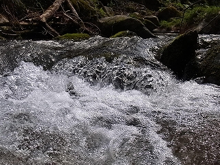 2011-05-05 (163).jpg